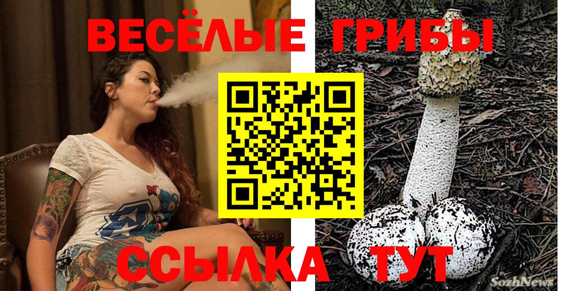 Псилоцибиновые грибы Magic Shrooms  Псилоцибиновые грибы Magic Shrooms  Биробиджан  Вход с VPN 